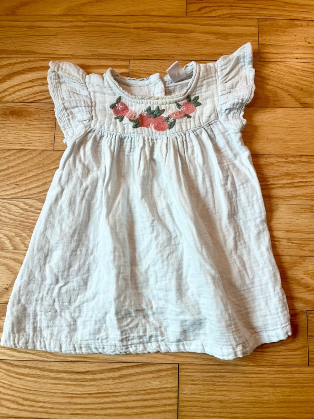 Nordstrom Light Blue Embroidered Citrus Grapefruit Baby Dress 12mo Cotton